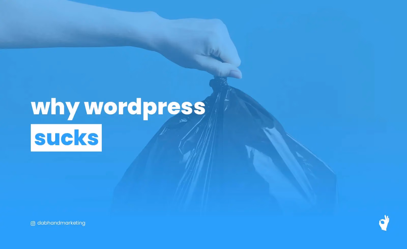 Why Wordpress Sucks